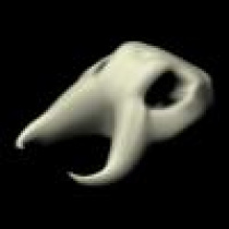 16394_45e89b0bd2e5cad57ccc6a2cadc43c22.jpg