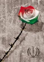 IRAN ROSE