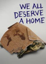 we all deserve a home