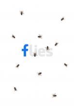 Flies