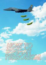 How to Squash Terrorism