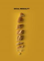 SOCIAL INEQUALITY