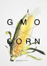 GMO CORN