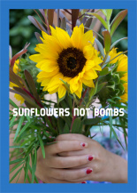 Sunflowers Not Bombs