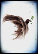 Hair of Peace