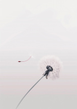 A Whisper of Hope