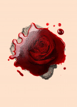 Stop killing women
