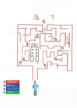 Health Care Maze